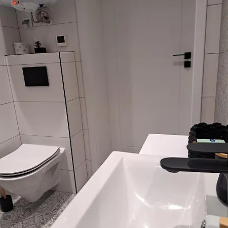 Golebiewscy 公寓 *